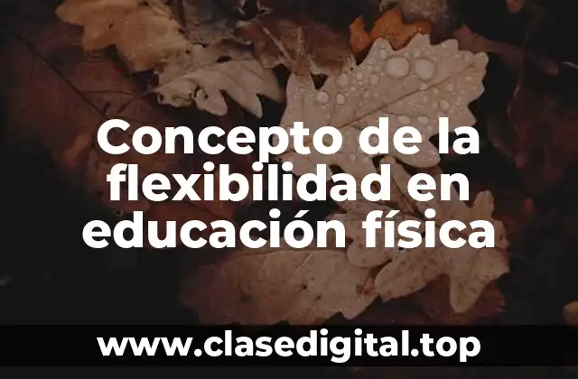 📗 Concepto de flexibilidad en educación física