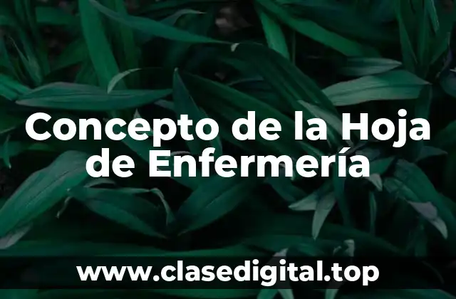 Concepto de la Hoja de Enfermería
