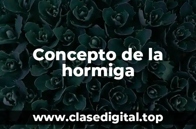 Concepto de la hormiga
