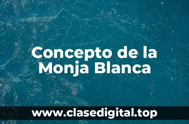Concepto de la Monja Blanca