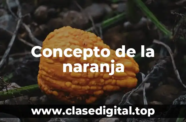 Concepto de la naranja
