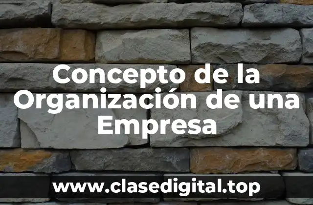 Concepto de la Organización de una Empresa