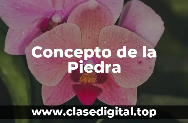 ⚡ Concepto de la Piedra
