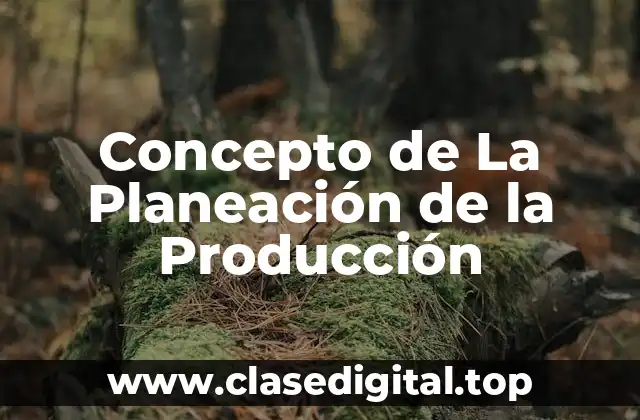 Concepto de La Planeación de la Producción