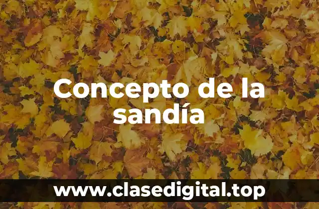 Concepto de la sandía