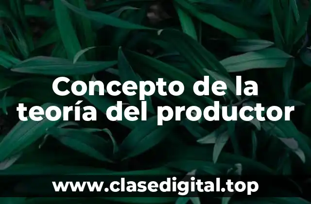 Concepto de la teoría del productor