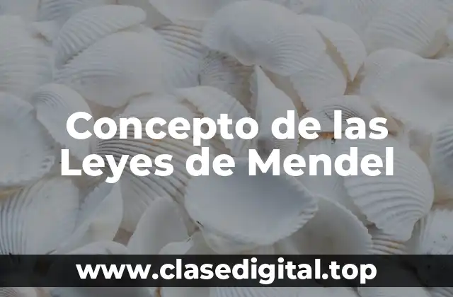 📗 Concepto de las Leyes de Mendel ¿Qué son?