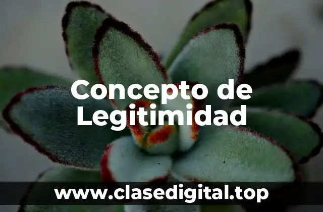 Concepto de Legitimidad
