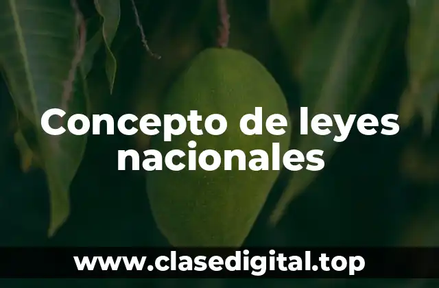 Concepto de leyes nacionales