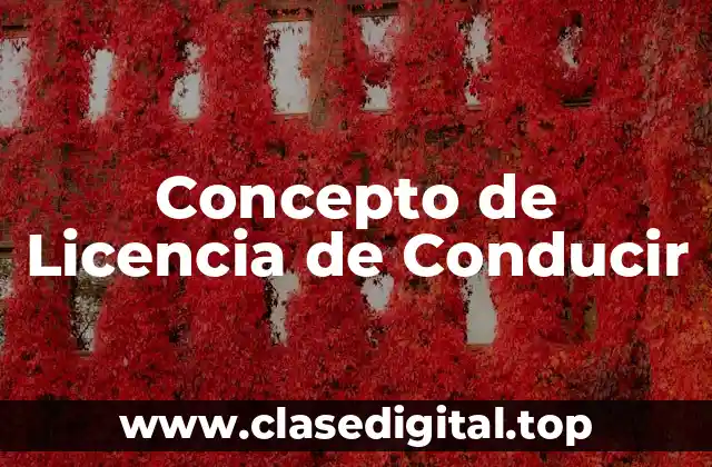 Concepto de Licencia de Conducir
