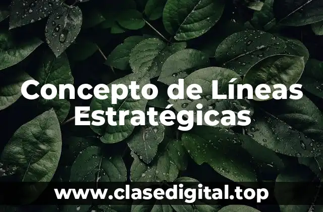 Concepto de Líneas Estratégicas