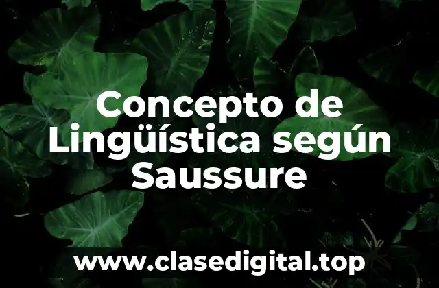 Concepto de Lingüística según Saussure