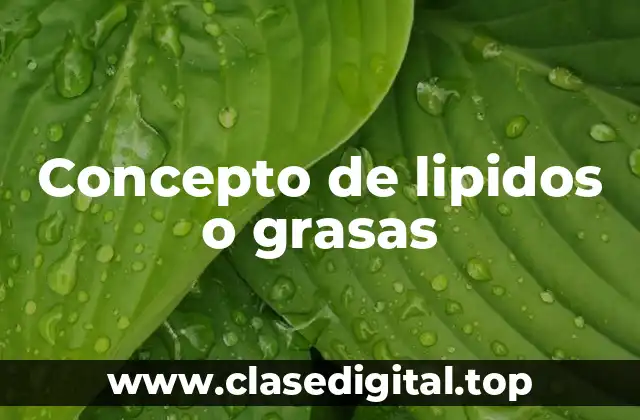 Concepto de lipidos o grasas