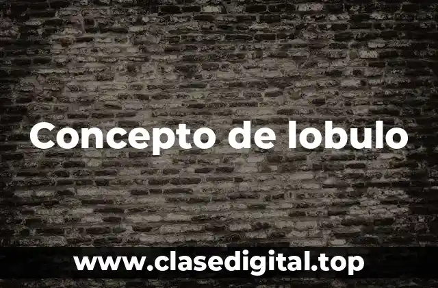 Concepto de lobulo