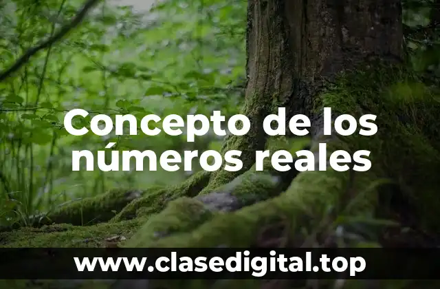 Concepto de los números reales