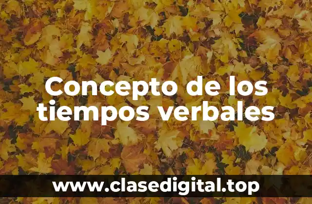 Concepto de los tiempos verbales