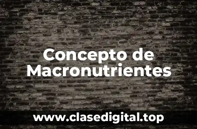Concepto de Macronutrientes