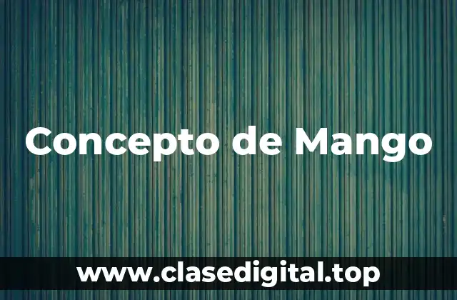 Concepto de Mango