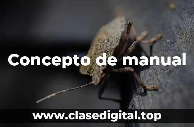 Concepto de manual