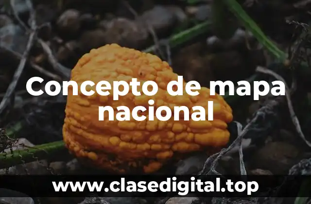 Concepto de mapa nacional