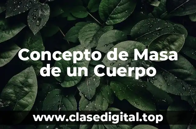📗 Concepto de Masa de un Cuerpo
