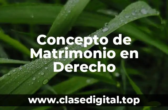 Concepto de Matrimonio en Derecho