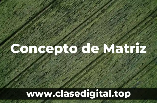 Concepto de Matriz