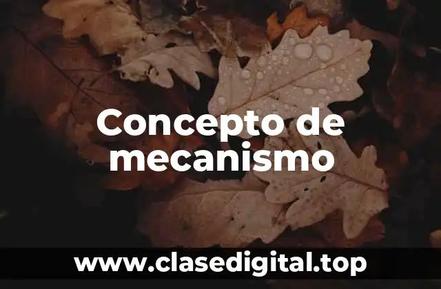 Concepto de mecanismo
