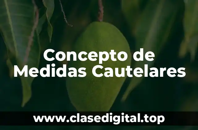Concepto de Medidas Cautelares