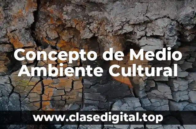 Concepto de Medio Ambiente Cultural