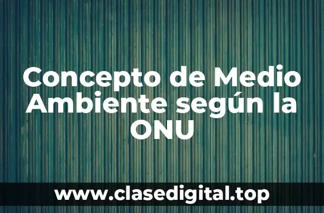 Concepto de Medio Ambiente según la ONU