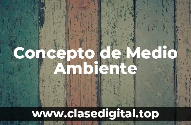 ✨ Concepto de Medio Ambiente