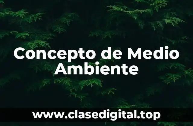 Concepto de Medio Ambiente
