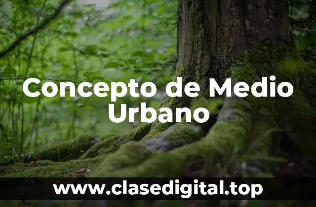 Concepto de Medio Urbano