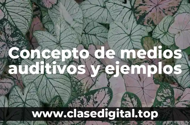 Concepto de medios auditivos y ejemplos