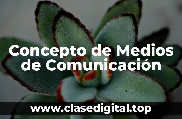 Concepto de Medios de Comunicación