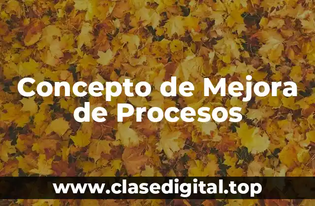 Concepto de Mejora de Procesos