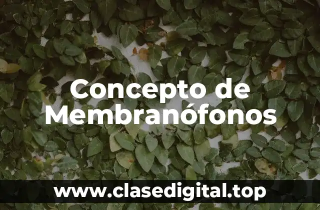 Concepto de Membranófonos