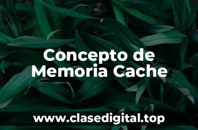 Concepto de Memoria Cache