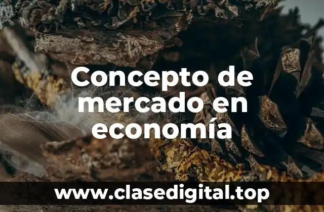 Concepto de mercado en economía