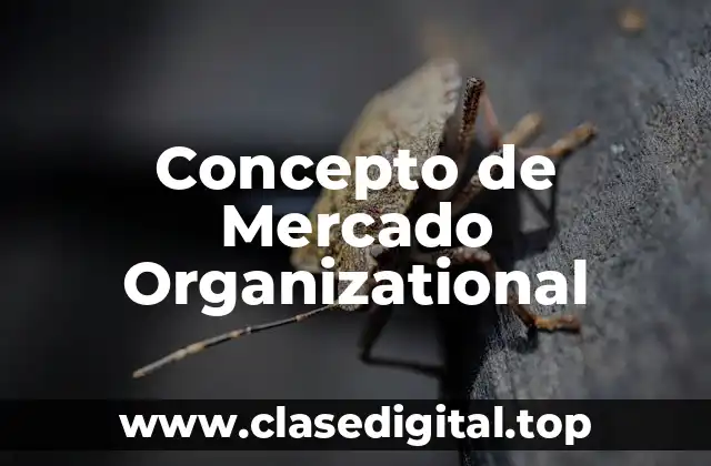 Concepto de Mercado Organizational