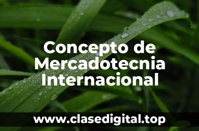 Concepto de Mercadotecnia Internacional