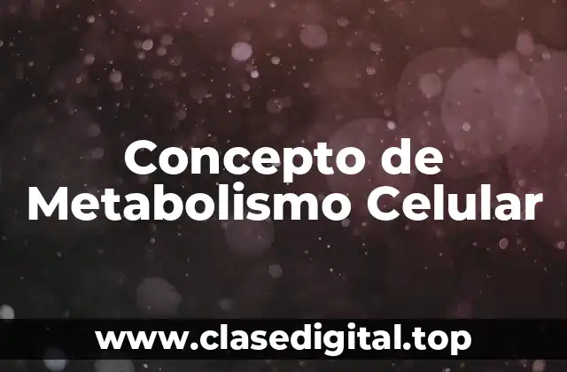 Concepto de Metabolismo Celular