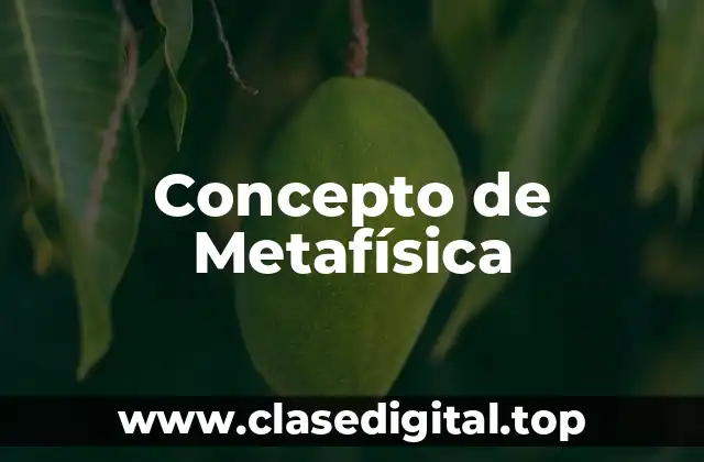 Concepto de Metafísica