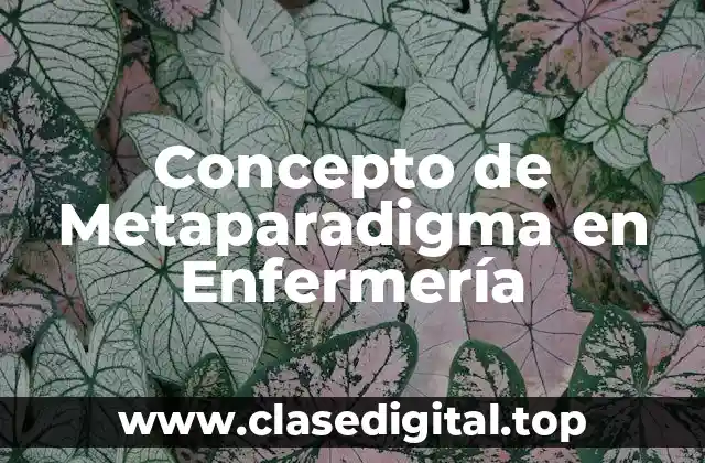 Concepto de Metaparadigma en Enfermería