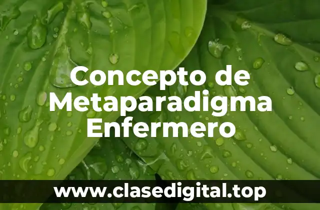 Concepto de Metaparadigma Enfermero