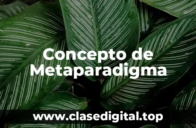 Concepto de Metaparadigma