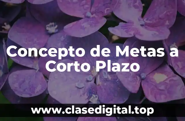 📗 Concepto de Metas a Corto Plazo