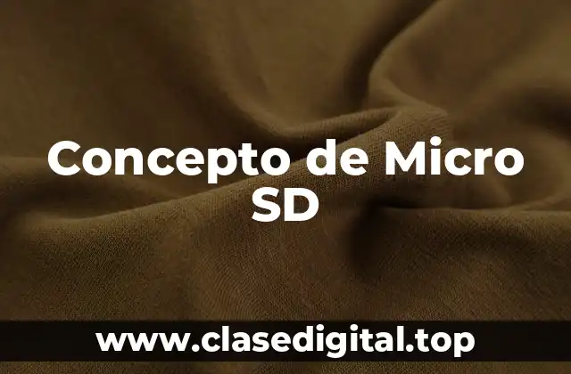 Concepto de Micro SD