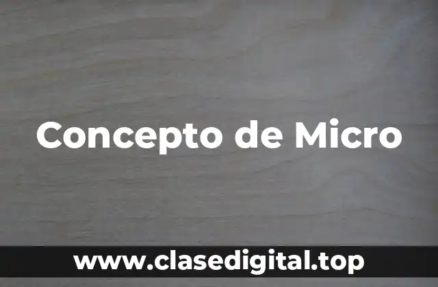 Concepto de Micro